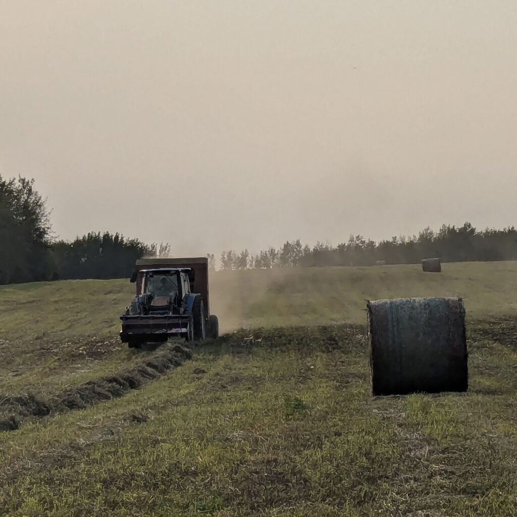 pxl 20240908 234414594 pxl 20240908 234414594