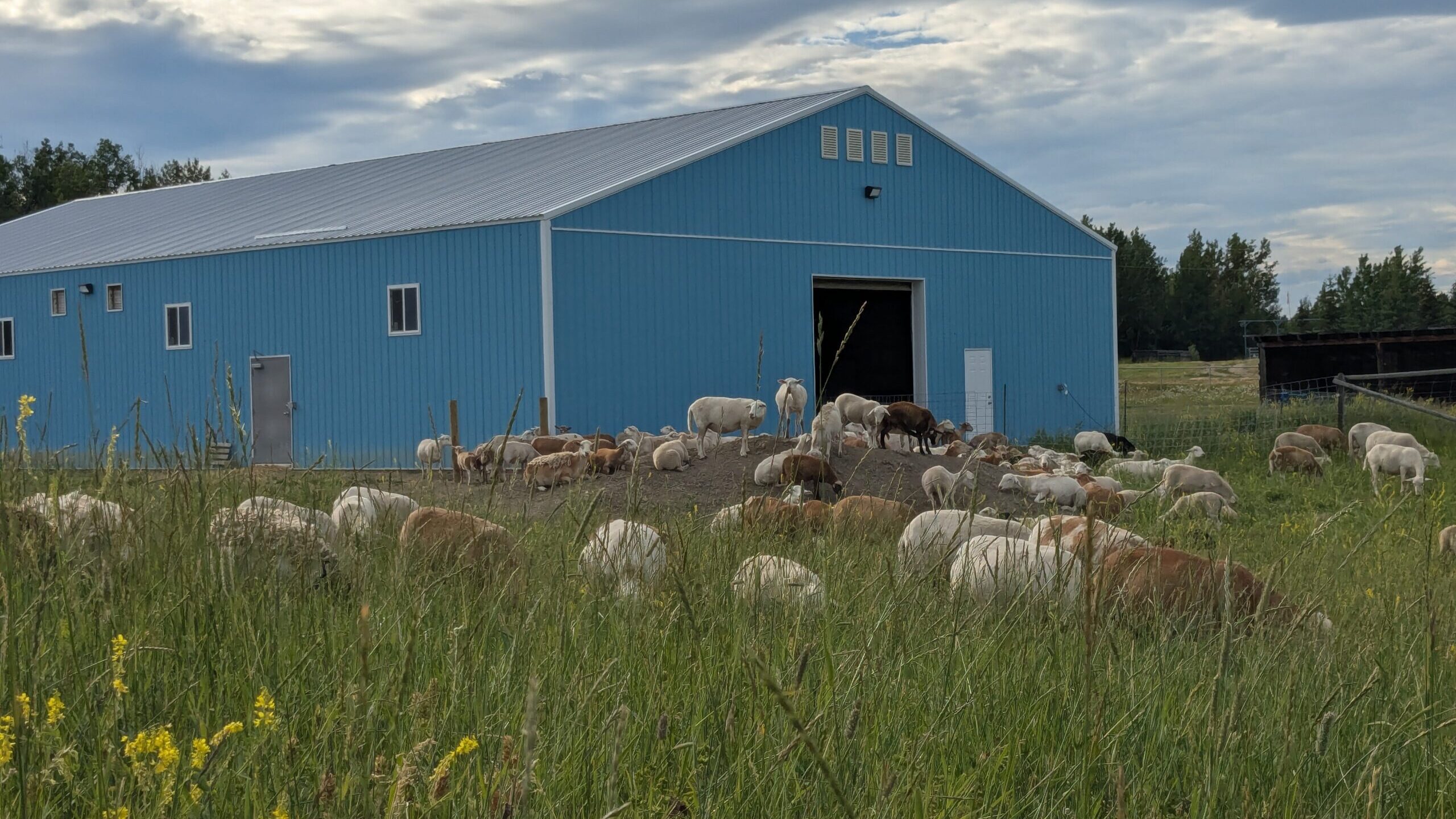 PXL_20250713_010935778 PXL 20250713 010935778 Scaled Edited